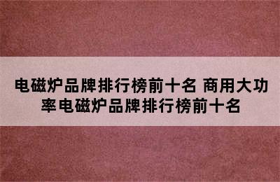 电磁炉品牌排行榜前十名 商用大功率电磁炉品牌排行榜前十名